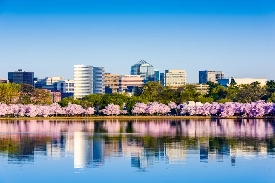 View across lake of Washington, D.C. office buildings with blooming cherry trees in front on lakeshore